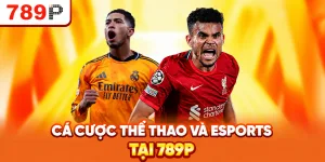 Cá cược thể thao và esport tại 789P